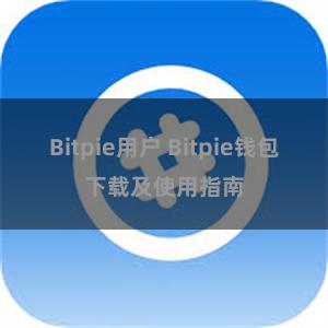 Bitpie用户 Bitpie钱包下载及使用指南