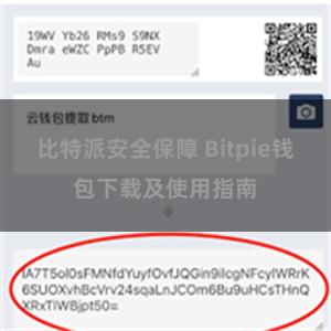 比特派安全保障 Bitpie钱包下载及使用指南