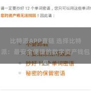 比特派APP直链 选择比特派：最安全便捷的数字资产钱包