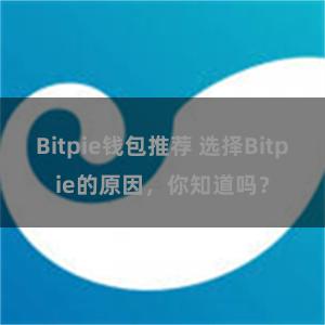 Bitpie钱包推荐 选择Bitpie的原因，你知道吗？