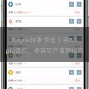 Bitpie转账 快速上手Bitpie钱包，多链资产管理技巧