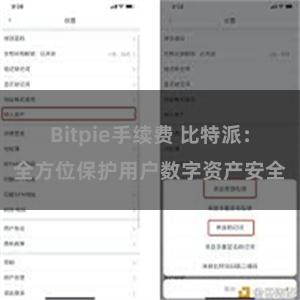 Bitpie手续费 比特派：全方位保护用户数字资产安全