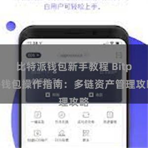 比特派钱包新手教程 Bitpie钱包操作指南：多链资产管理攻略