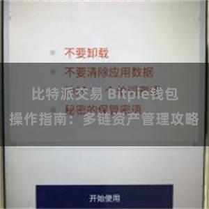 比特派交易 Bitpie钱包操作指南：多链资产管理攻略