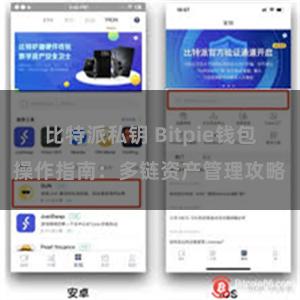 比特派私钥 Bitpie钱包操作指南：多链资产管理攻略