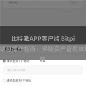 比特派APP客户端 Bitpie钱包操作指南：多链资产管理攻略