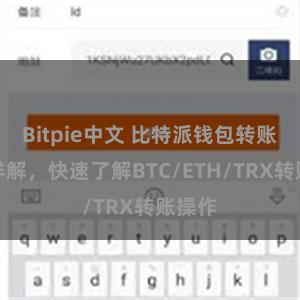 Bitpie中文 比特派钱包转账教程详解，快速了解BTC/ETH/TRX转账操作