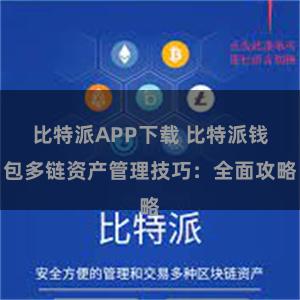 比特派APP下载 比特派钱包多链资产管理技巧：全面攻略