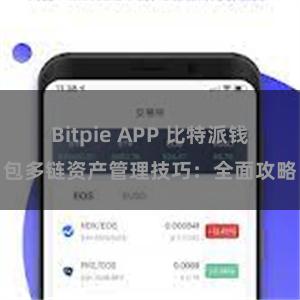 Bitpie APP 比特派钱包多链资产管理技巧：全面攻略