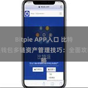 Bitpie APP入口 比特派钱包多链资产管理技巧：全面攻略