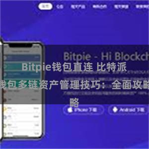 Bitpie钱包直连 比特派钱包多链资产管理技巧：全面攻略