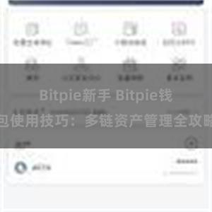 Bitpie新手 Bitpie钱包使用技巧：多链资产管理全攻略