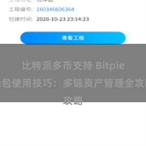 比特派多币支持 Bitpie钱包使用技巧：多链资产管理全攻略