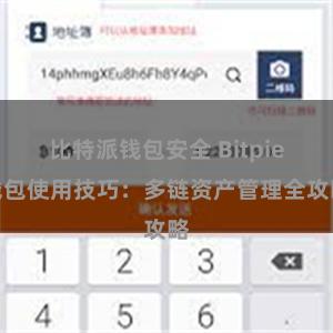 比特派钱包安全 Bitpie钱包使用技巧：多链资产管理全攻略