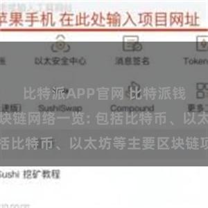 比特派APP官网 比特派钱包支持的区块链网络一览: 包括比特币、以太坊等主要区块链项目