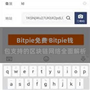 Bitpie免费 Bitpie钱包支持的区块链网络全面解析