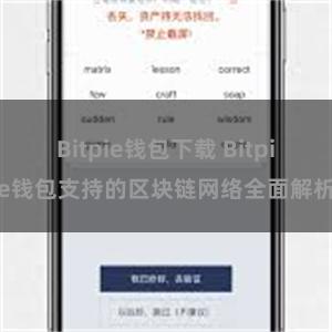 Bitpie钱包下载 Bitpie钱包支持的区块链网络全面解析