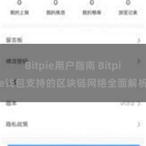 Bitpie用户指南 Bitpie钱包支持的区块链网络全面解析