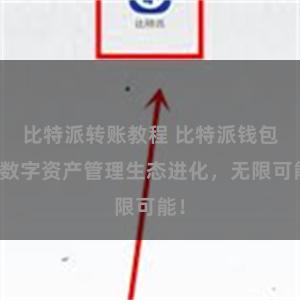 比特派转账教程 比特派钱包：数字资产管理生态进化，无限可能！