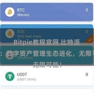 Bitpie教程官网 比特派钱包：数字资产管理生态进化，无限可能！