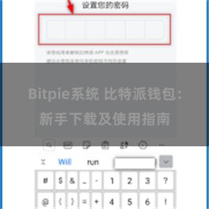 Bitpie系统 比特派钱包：新手下载及使用指南