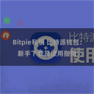 Bitpie私钥 比特派钱包：新手下载及使用指南