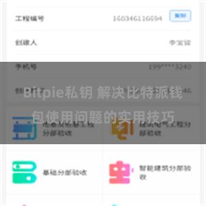 Bitpie私钥 解决比特派钱包使用问题的实用技巧