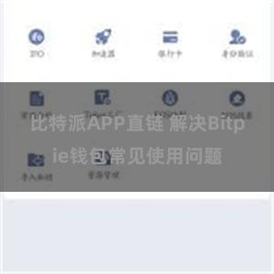 比特派APP直链 解决Bitpie钱包常见使用问题