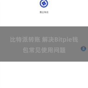 比特派转账 解决Bitpie钱包常见使用问题