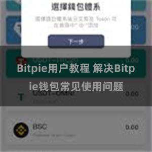 Bitpie用户教程 解决Bitpie钱包常见使用问题