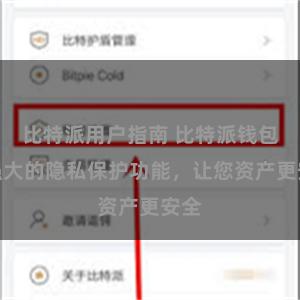 比特派用户指南 比特派钱包：强大的隐私保护功能，让您资产更安全