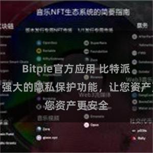 Bitpie官方应用 比特派钱包：强大的隐私保护功能，让您资产更安全