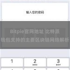 Bitpie官网地址 比特派钱包支持的主要区块链网络解析