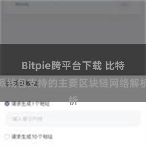 Bitpie跨平台下载 比特派钱包支持的主要区块链网络解析