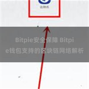 Bitpie安全保障 Bitpie钱包支持的区块链网络解析