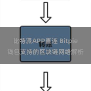 比特派APP直连 Bitpie钱包支持的区块链网络解析