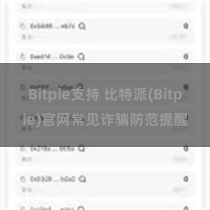 Bitpie支持 比特派(Bitpie)官网常见诈骗防范提醒