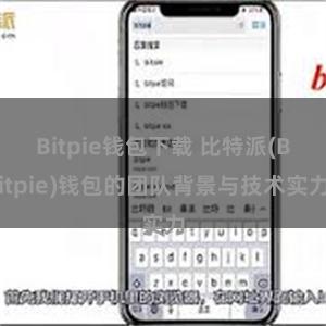 Bitpie钱包下载 比特派(Bitpie)钱包的团队背景与技术实力