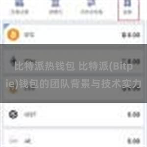 比特派热钱包 比特派(Bitpie)钱包的团队背景与技术实力