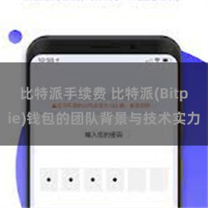 比特派手续费 比特派(Bitpie)钱包的团队背景与技术实力