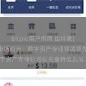 Bitpie用户指南 比特派(Bitpie)钱包市场趋势：数字资产存储领域领先者持续发展。