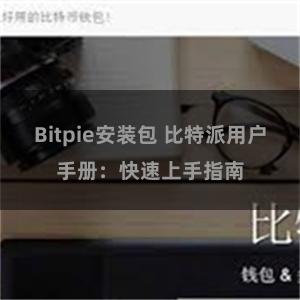 Bitpie安装包 比特派用户手册：快速上手指南