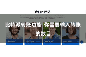 比特派转账功能  你需要输入转账的数目