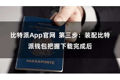 比特派App官网  第三步：装配比特派钱包把握下载完成后
