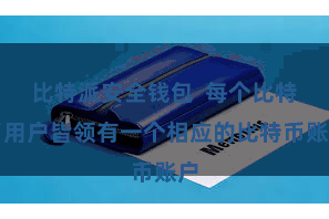 比特派安全钱包  每个比特币用户皆领有一个相应的比特币账户
