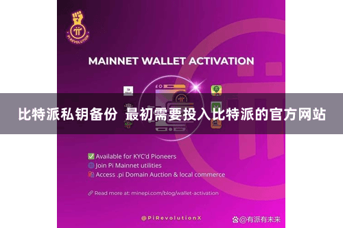 比特派私钥备份  最初需要投入比特派的官方网站