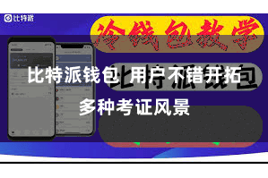比特派钱包  用户不错开拓多种考证风景